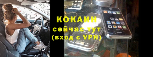 крисы Баксан