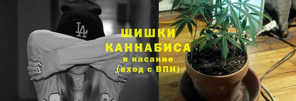 крисы Баксан