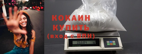 крисы Баксан