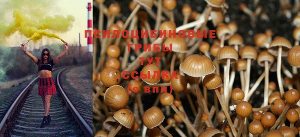 прущий лед Балабаново