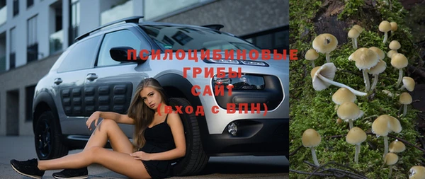 соль ск Балахна