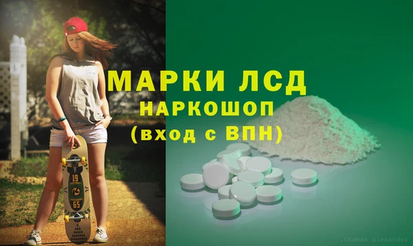 крисы Баксан