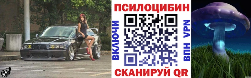 Псилоцибиновые грибы Magic Shrooms  купить закладку  Бутурлиновка 
